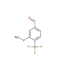 Astatech 3-METHOXY-4-(TRIFLUOROMETHYL)BENZALDEHYDE; 1G; Purity 95%; MDL-MFCD11110997